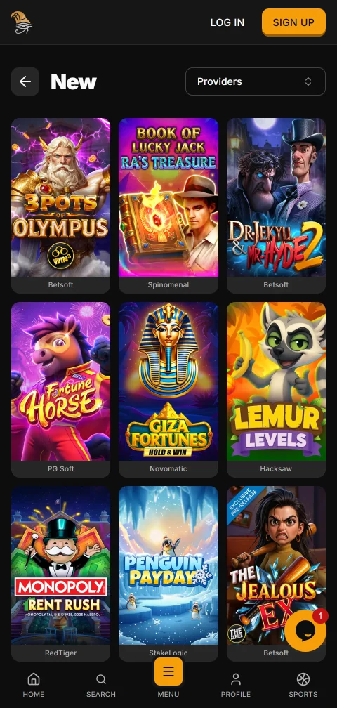 Cajero móvil de Horus Casino con tarjetas, billeteras y criptomonedas