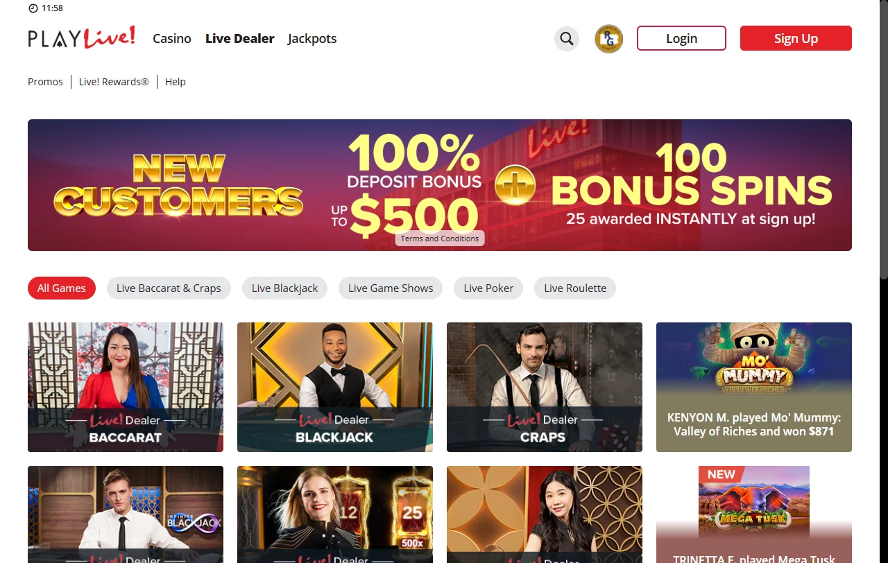 Catálogo de tragamonedas y live casino de PlayLive Casino con 36 proveedores
